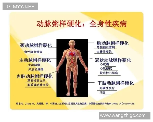 武汉网球队的阵地战革新探索与发展新路径的深度分析与展望 武汉网球队的阵地战革新探索与发展新路径的深度分析与展望