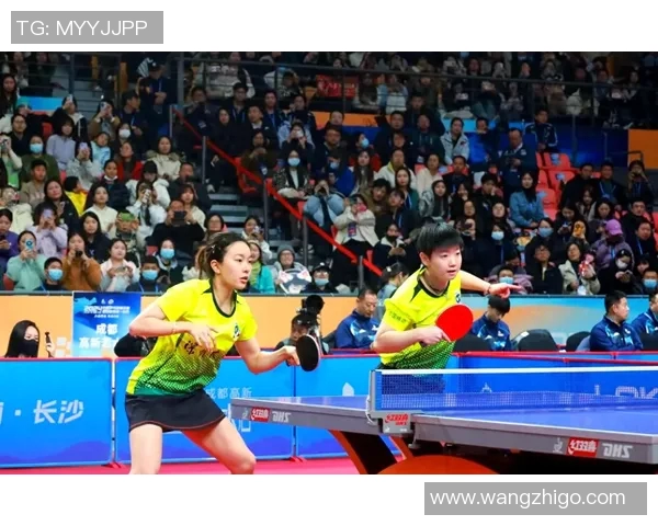 深圳乒乓球队团队协作引发热议争议背后的默契与竞争关系探讨