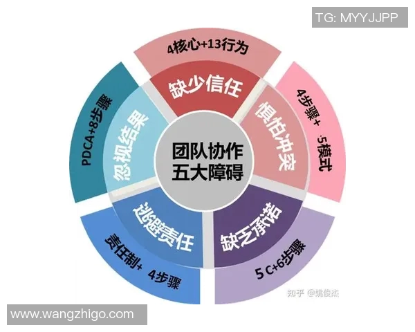 成都排球队挑战赛点评：个人能力展现与团队协作的完美结合