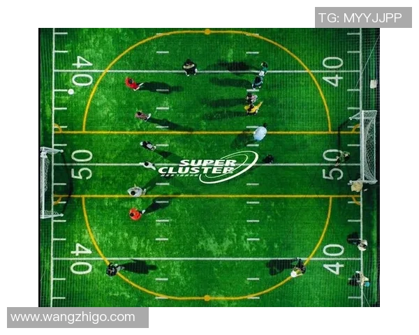 武汉飞盘队与深圳飞盘队赛后复盘探讨意识与战术的深度分析